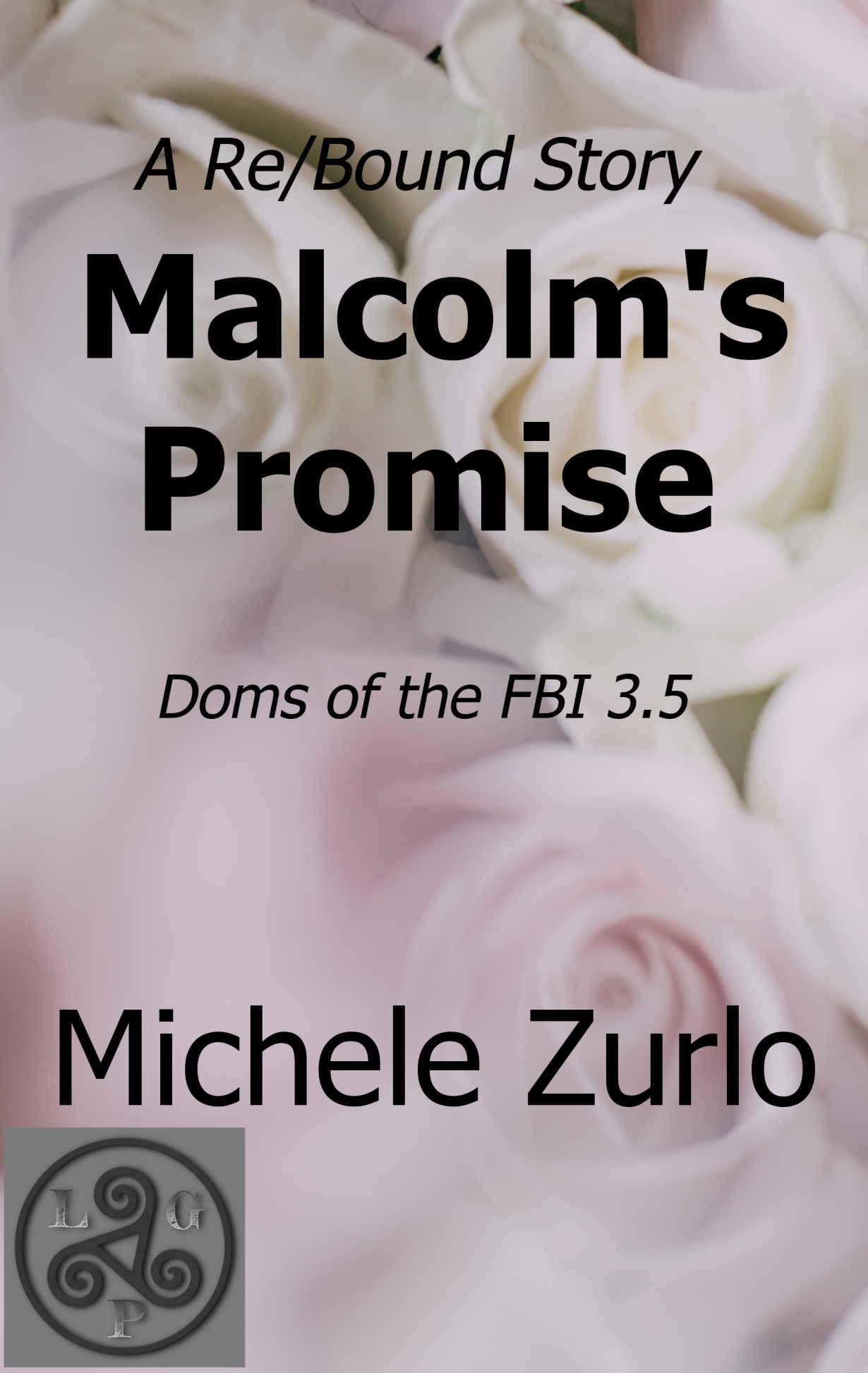 Malcolm's Promise: A Re/Bound Story (Doms of the FBI)