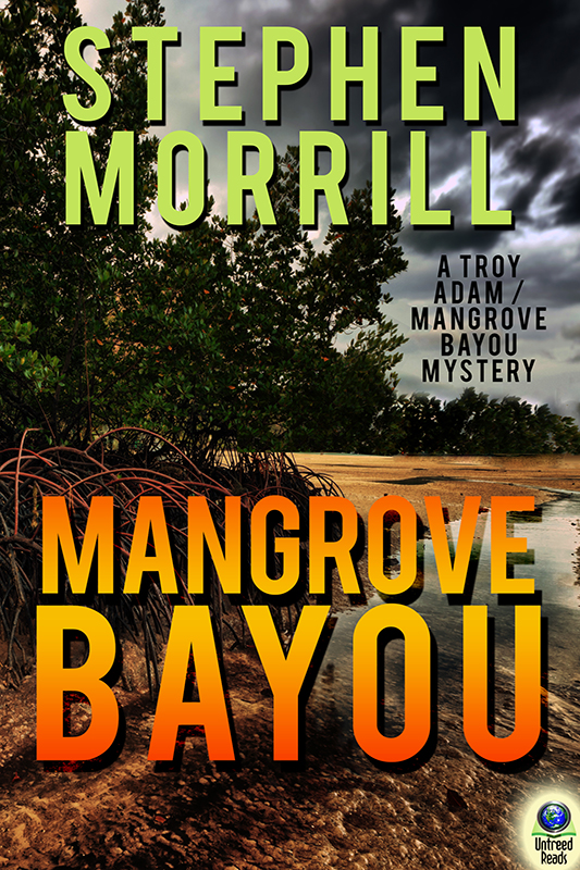 Mangrove Bayou (2015) by Stephen Morrill