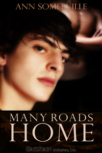 Many Roads Home by Ann Somerville