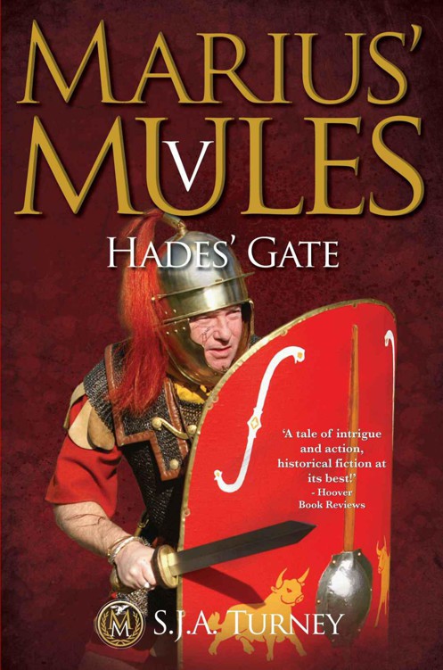 Marius' Mules V: Hades' Gate by Turney, S.J.A.