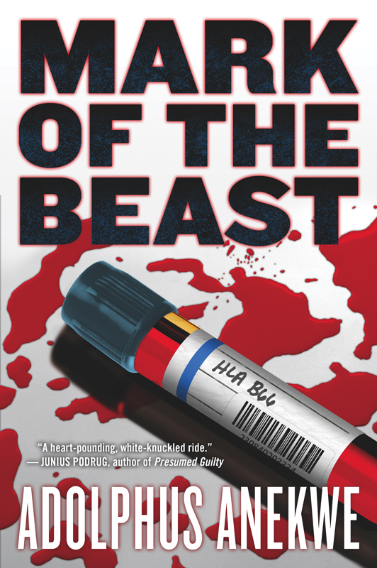 Mark of the Beast by Adolphus A. Anekwe