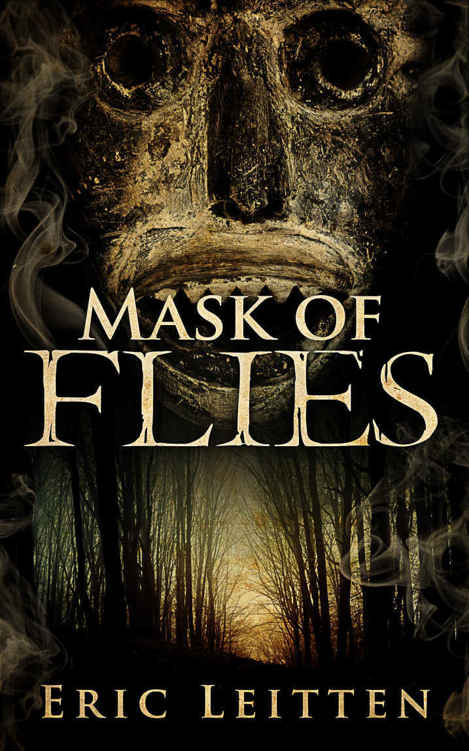 Mask of Flies by Eric Leitten