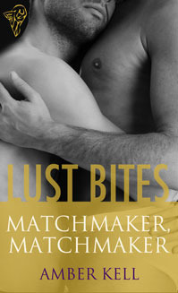 Matchmaker, Matchmaker (2011) by Amber Kell