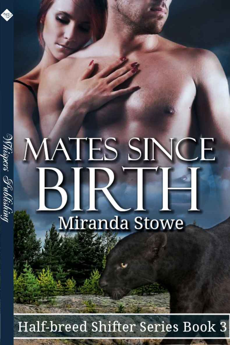 Mates Since Birth (Half-breed Shifter Series) by Stowe, Miranda