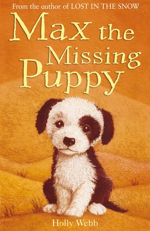 Max the Missing Puppy (2012) by Holly Webb