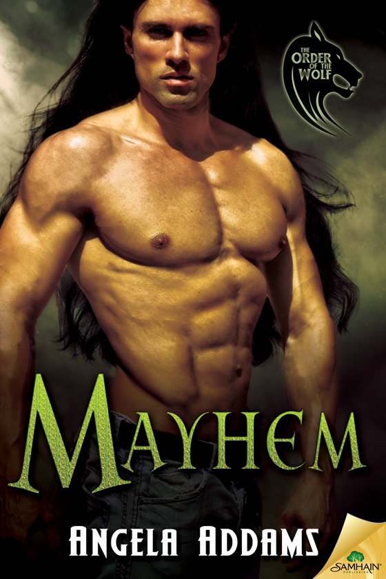 Mayhem: The Order of the Wolf, Book 5 (2015) by Angela Addams