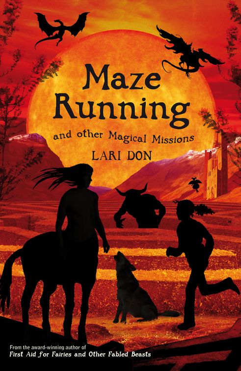 Maze Running and other Magical Missions (2012) by Lari Don