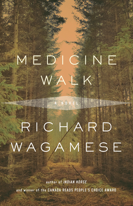 Medicine Walk