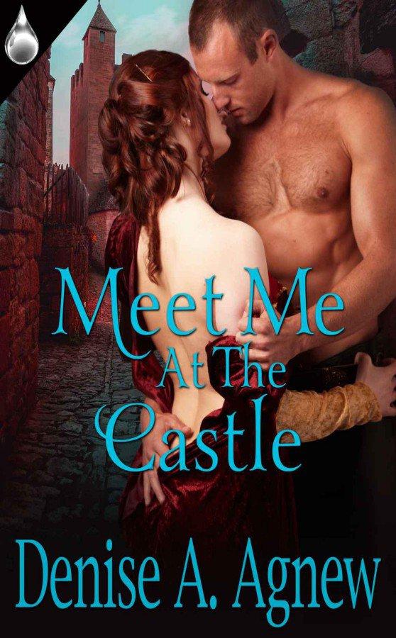 Meet Me At the Castle by Denise A. Agnew