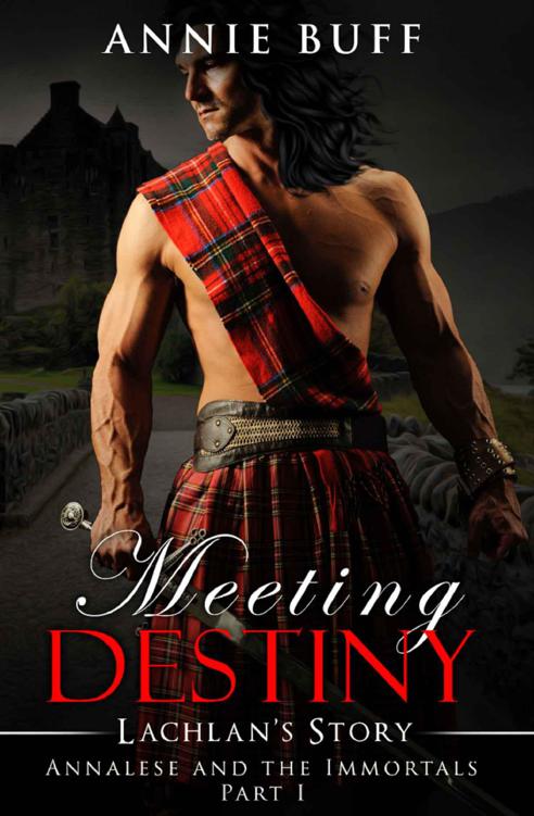 Meeting Destiny; Lachlan’s Story (Annalese and the Immortals)