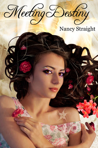 Meeting Destiny (2010) by Nancy Straight