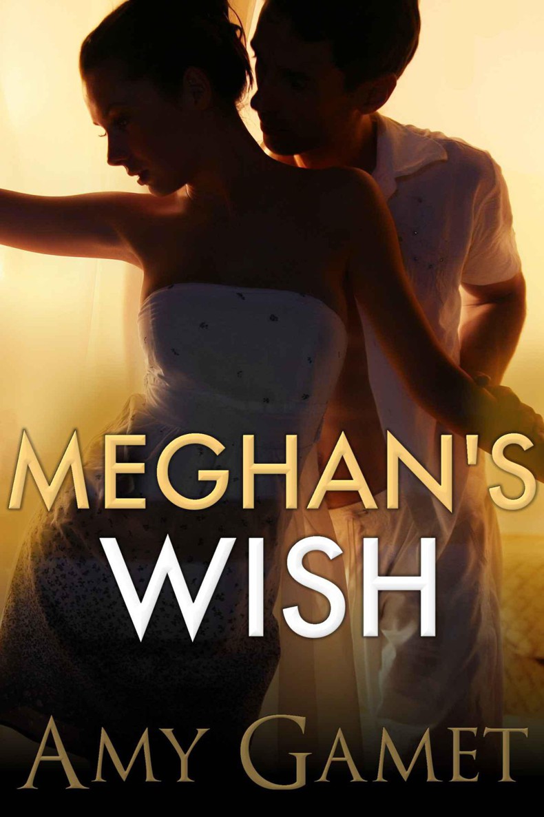 Meghan's Wish (Love and Danger)