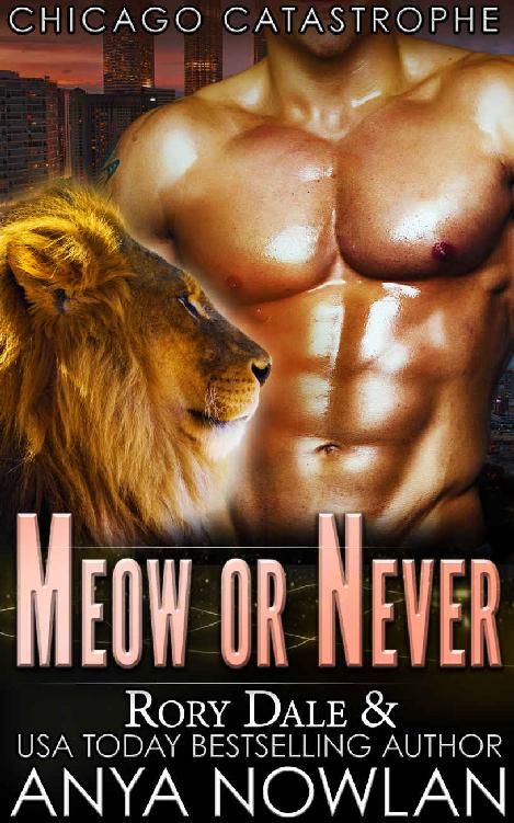 Meow Or Never: BBW SEAL Shifter Surprise Pregnancy Romance (Chicago Catastrophe) by Anya Nowlan