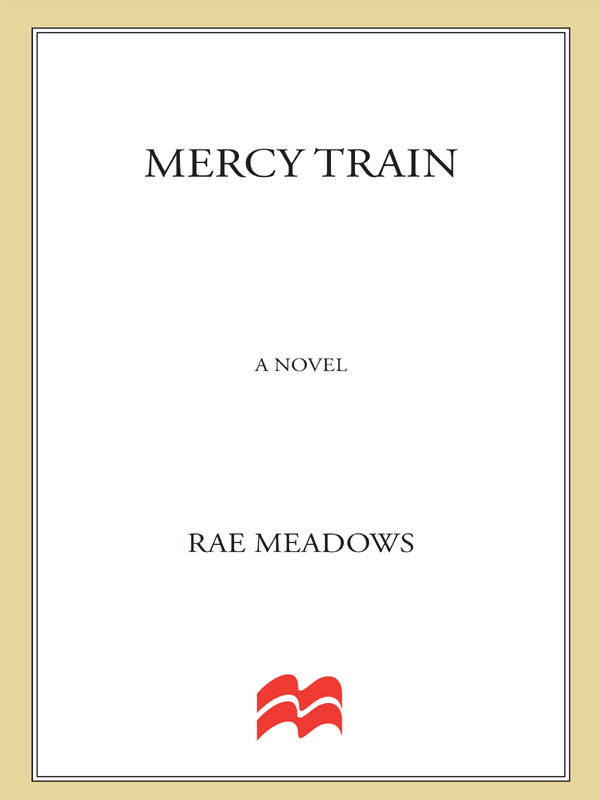 Mercy Train by Rae Meadows