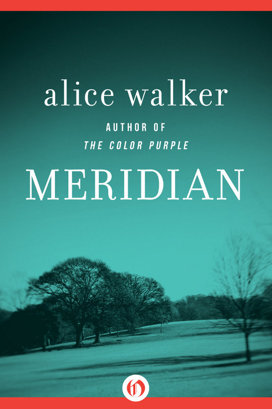 Meridian by Alice Walker