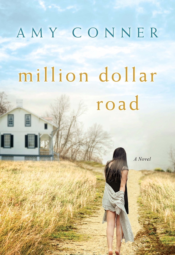 Million Dollar Road (2015) by Amy Connor