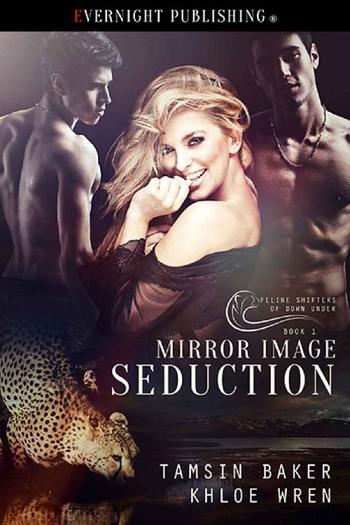 Mirror Image Seduction (Feline Shifters of Down Under Book 1) by Tamsin Baker