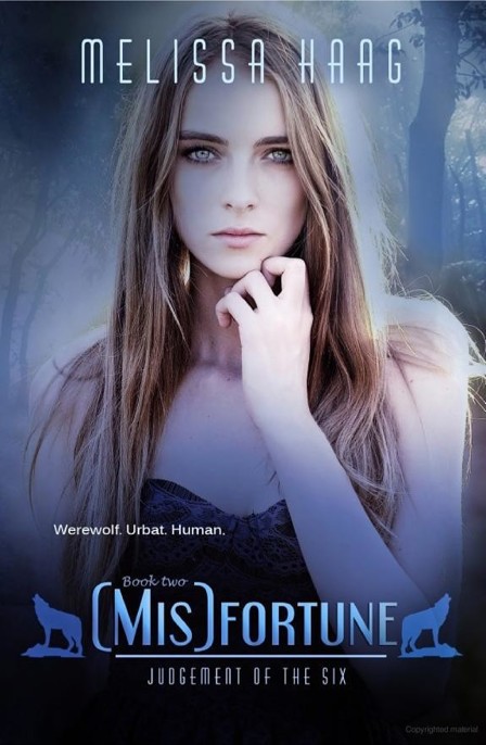 (Mis)fortune by Melissa Haag