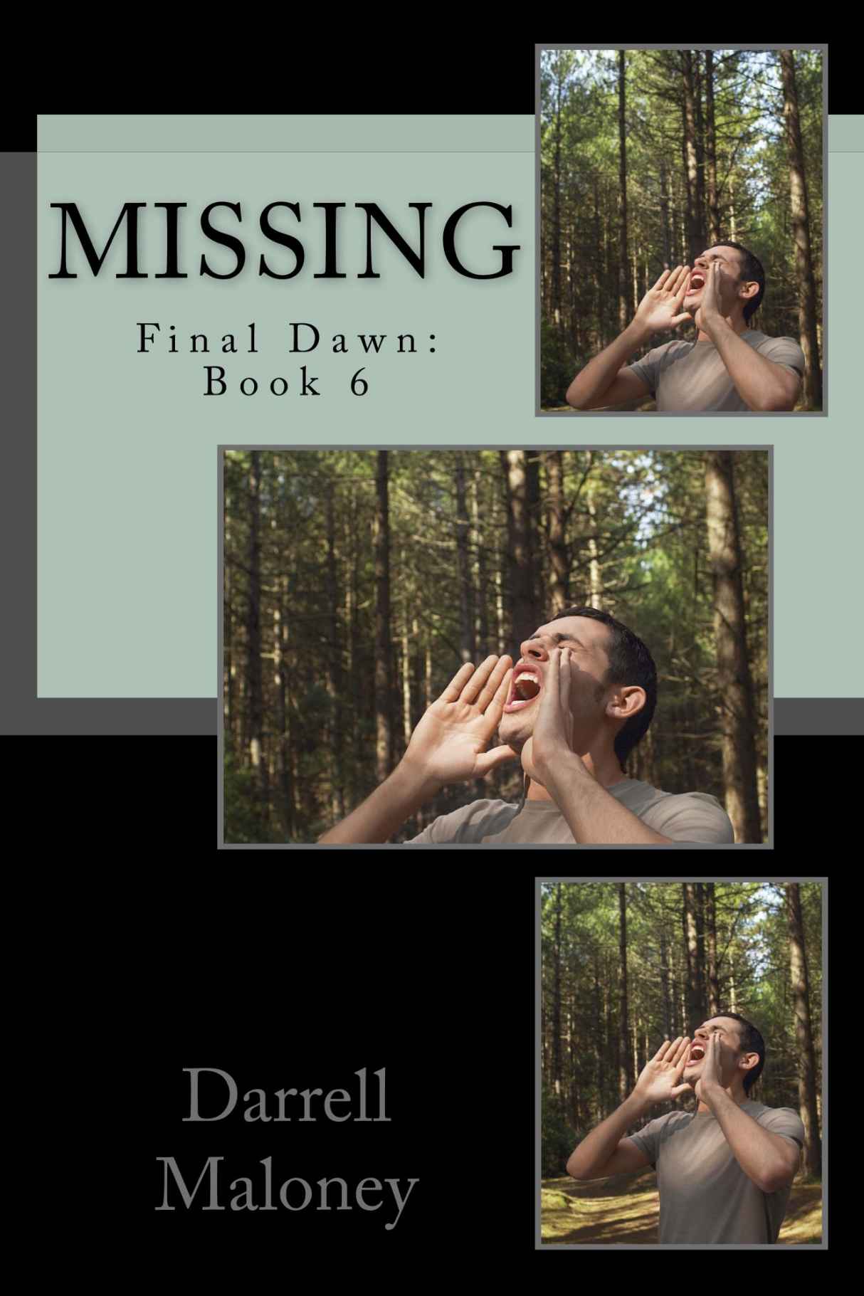 Missing by Darrell Maloney