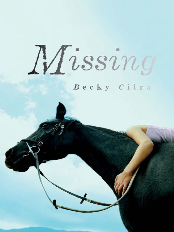 Missing (2011) by Becky Citra