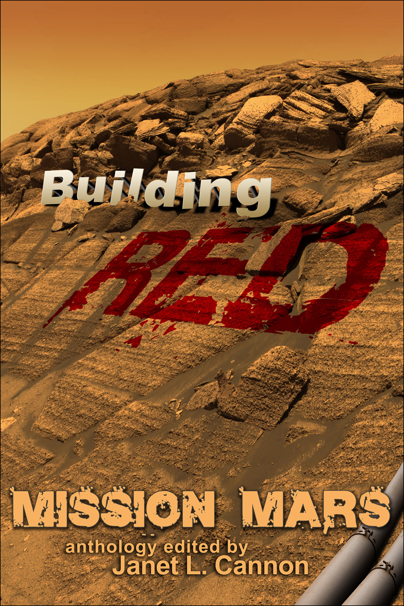 Mission Mars (2015) by Janet L. Cannon