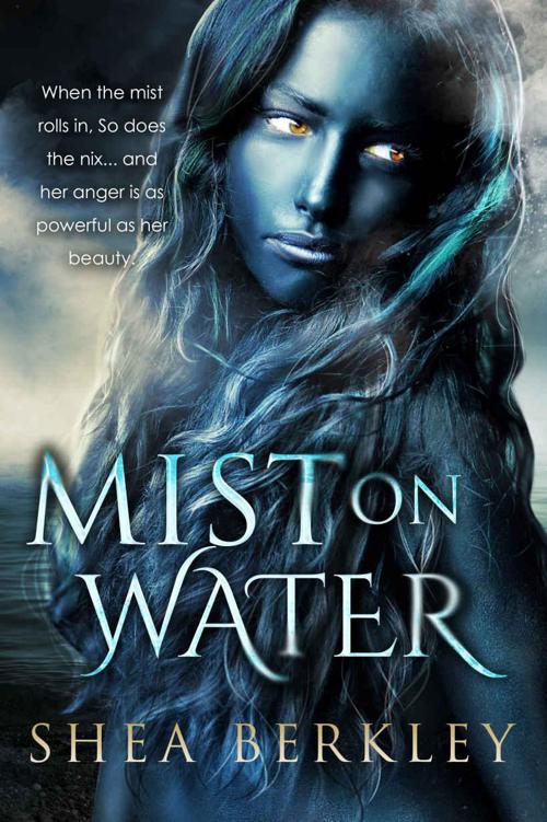 Mist on Water by Berkley, Shea