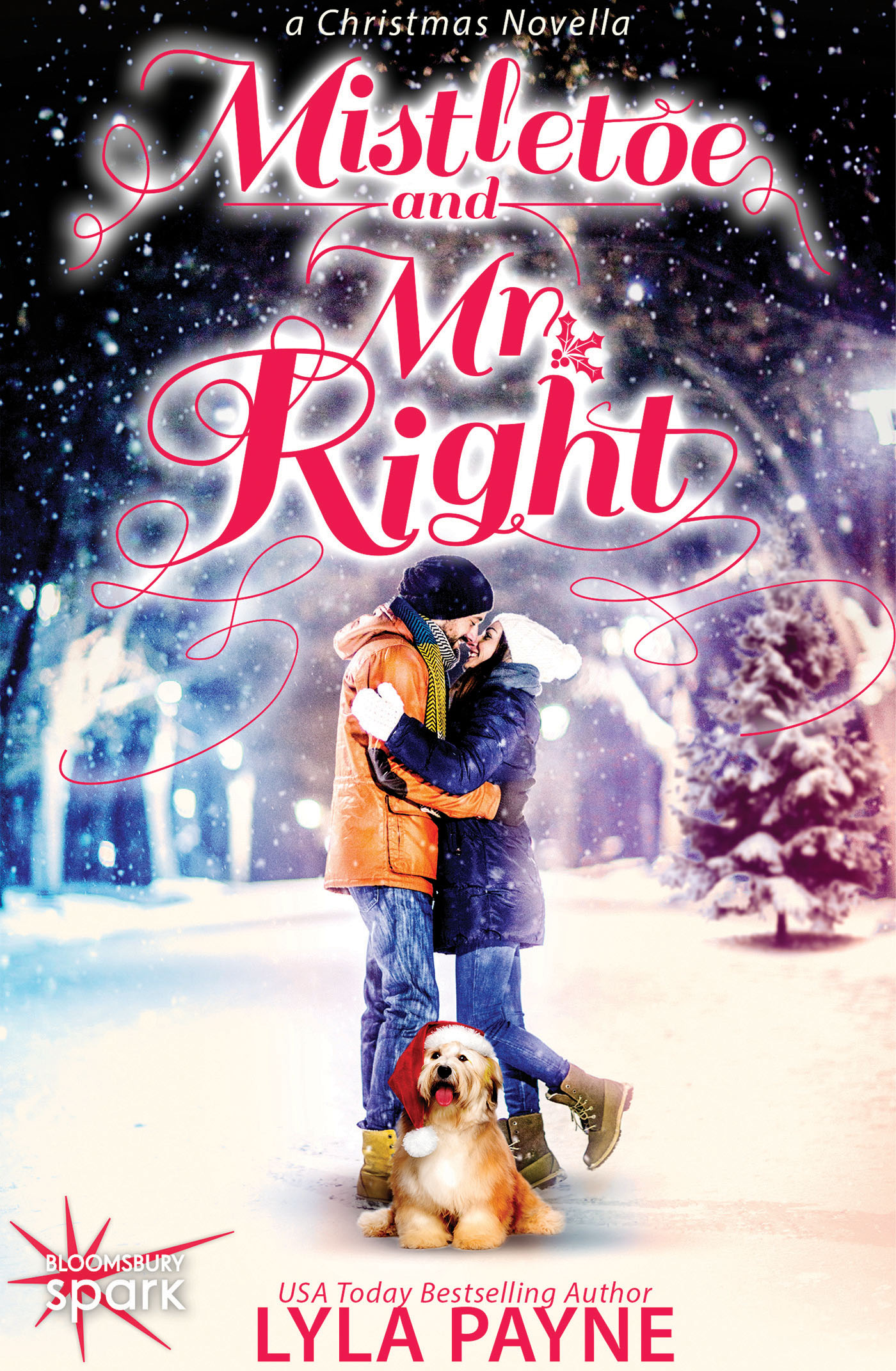 Mistletoe and Mr. Right (2014) by Lyla Payne