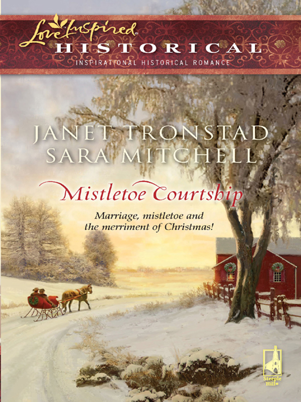 Mistletoe Courtship (2009) by Janet Tronstad
