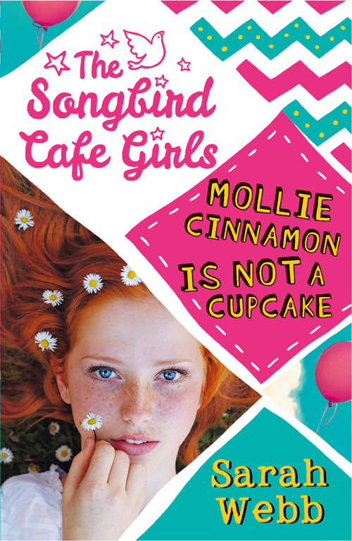 Mollie Cinnamon Is Not a Cupcake (2015)