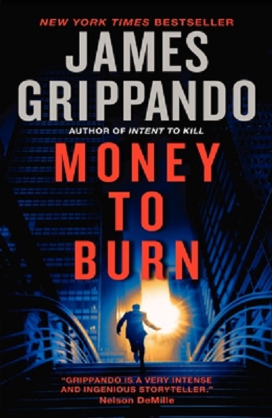 Money to Burn by James Grippando