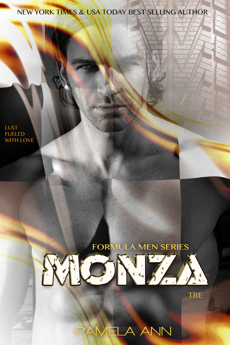 Monza 3 (Formula Men #3) by Pamela Ann