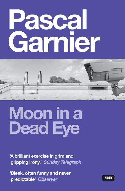 Moon in a Dead Eye (2013) by Pascal Garnier