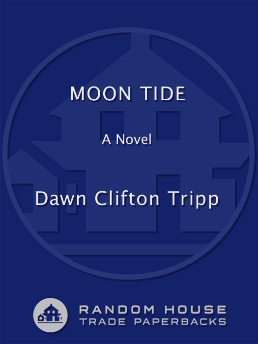 Moon Tide by Dawn Tripp