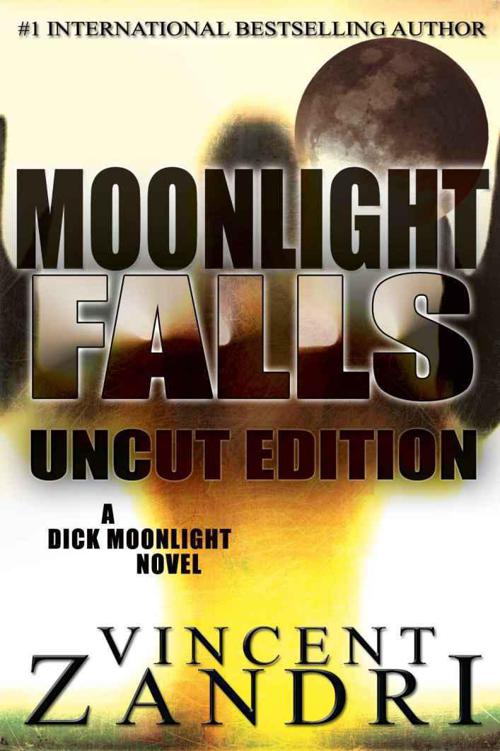 Moonlight Falls by Vincent Zandri