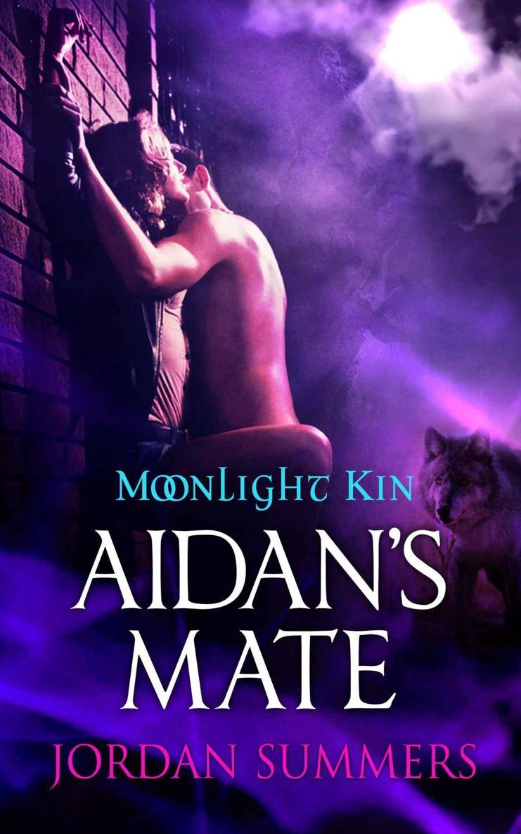 Moonlight Kin 2: Aidan's Mate (Mid-Length Novel) by Jordan Summers