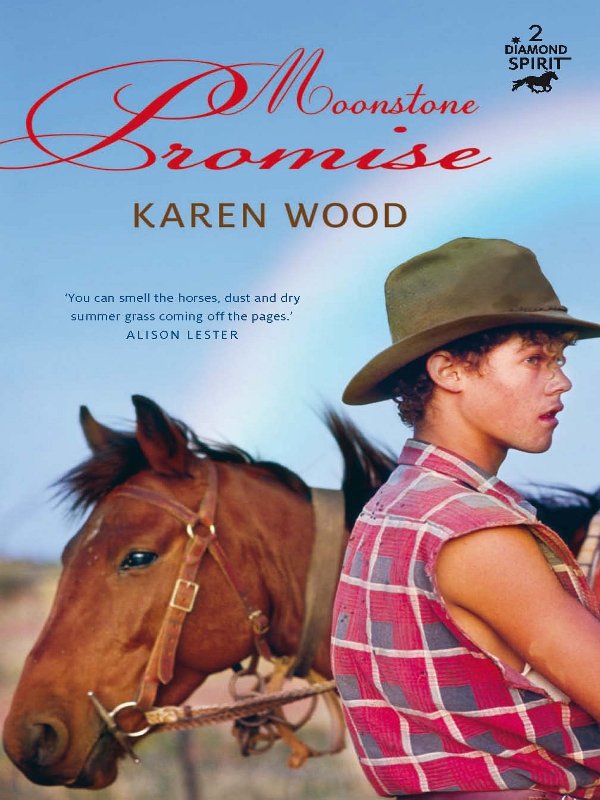 Moonstone Promise (2011) by Karen Wood