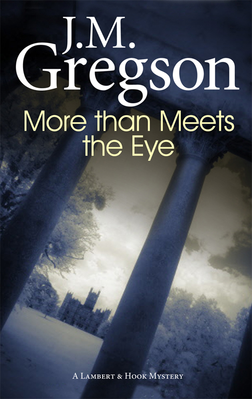 More Than Meets the Eye by J. M. Gregson