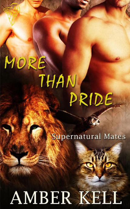 More Than Pride by Kell, Amber