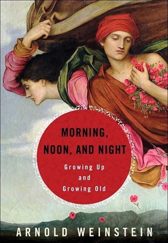 Morning, Noon, and Night: Finding the Meaning of Life's Stages Through Books (2015) by Arnold Weinstein