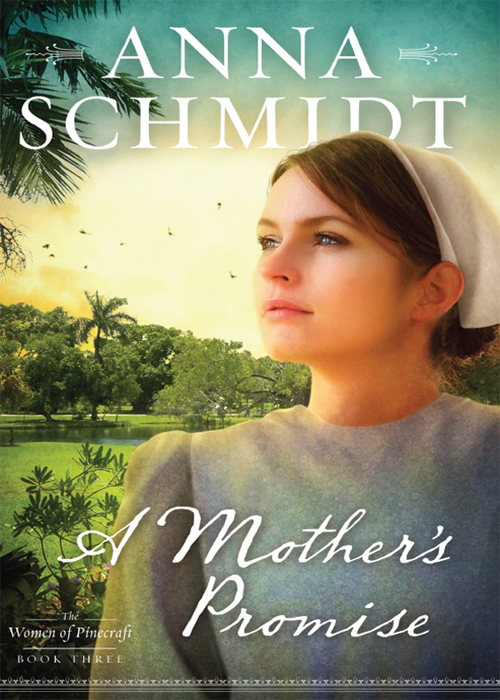 Mother's Promise (2012) by Anna Schmidt