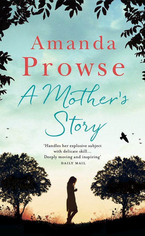 Mother's Story (2015) by Amanda Prowse