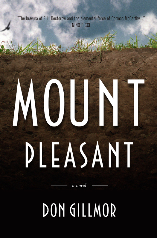 Mount Pleasant by Don Gillmor