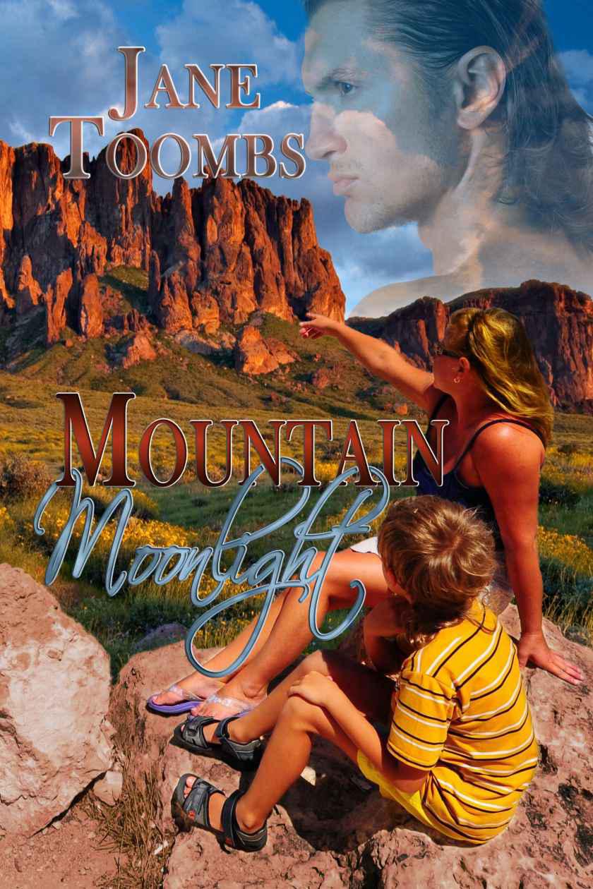 Mountain Moonlight by Jane Toombs