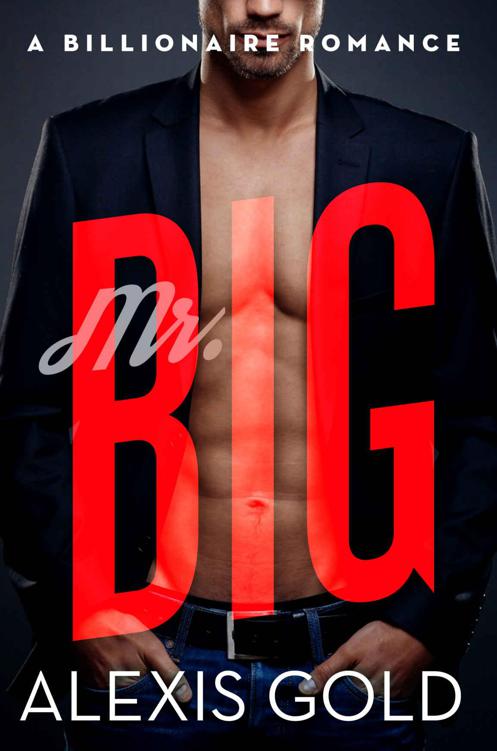 Mr. Big: A Billionaire Romance