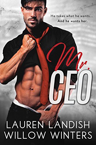 Mr. CEO by Willow Winters