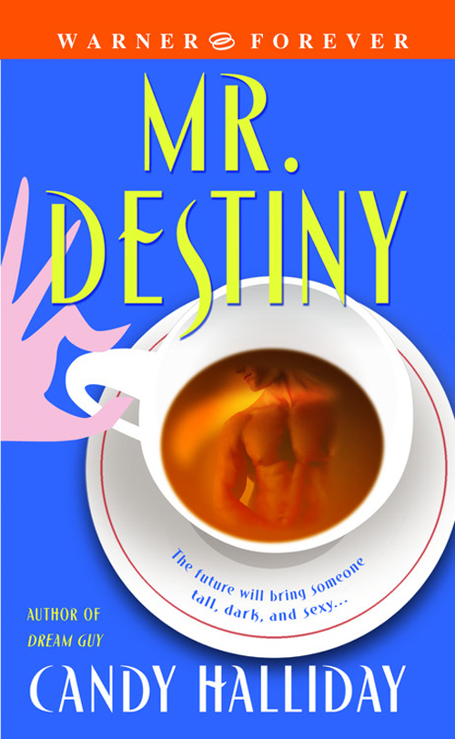 Mr Destiny by Candy Halliday