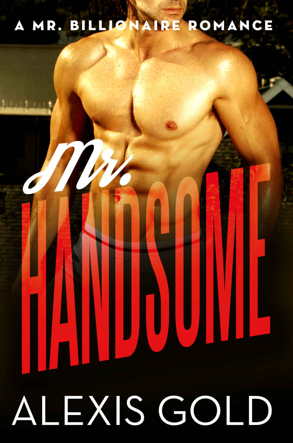 Mr. Handsome: A Billionaire Romance by Alexis Gold