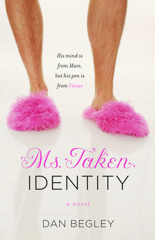 Ms. Taken Identity (2009) by Dan Begley