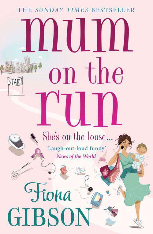 Mum on the Run by Fiona Gibson