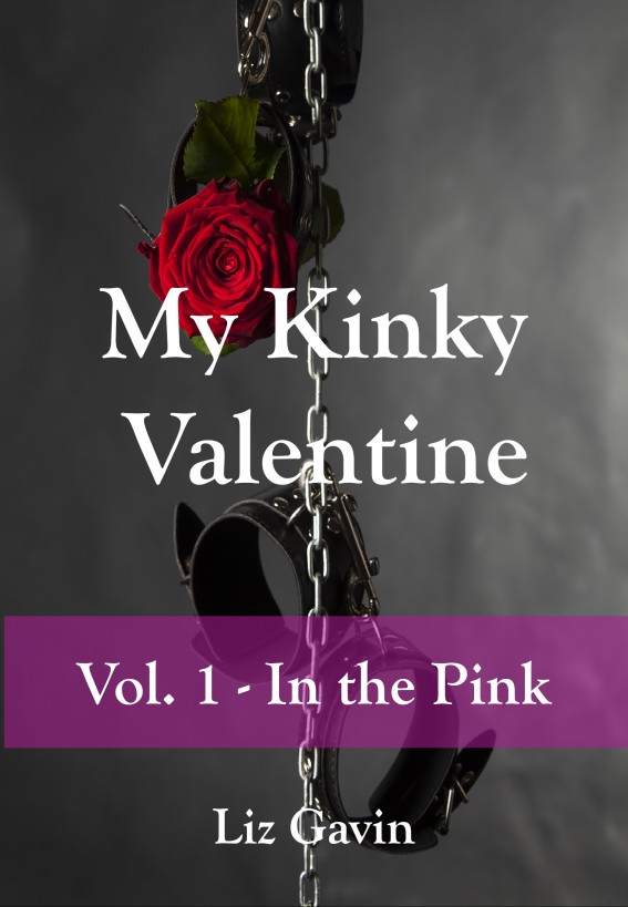 My Kinky Valentine by Liz Gavin